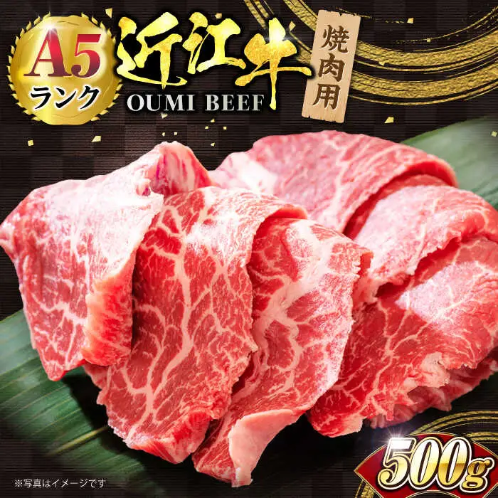近江牛焼肉用500g[AQCS004] 近江牛 牛肉