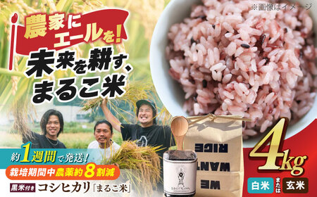 近江米 コシヒカリ2kg×２・黒米あさむらさき200gセット[AQCZ011] お米
