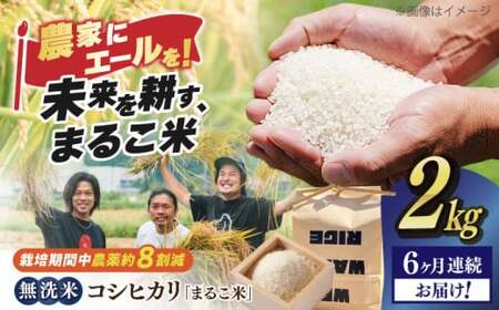 【全6回】近江米 コシヒカリまるこ米2kg　無洗米 [AQCZ014] コシヒカリ