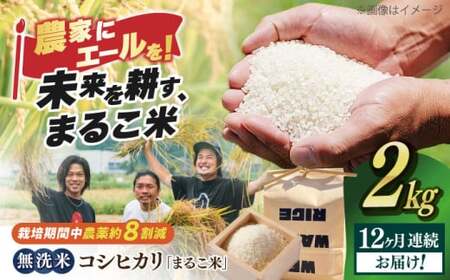 【全12回】近江米 コシヒカリまるこ米2kg　無洗米 [AQCZ015] コシヒカリ 
