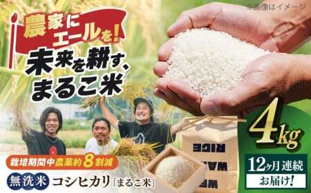 【全12回】近江米 コシヒカリまるこ米4kg（2kg×2）　無洗米 [AQCZ019] コシヒカリ