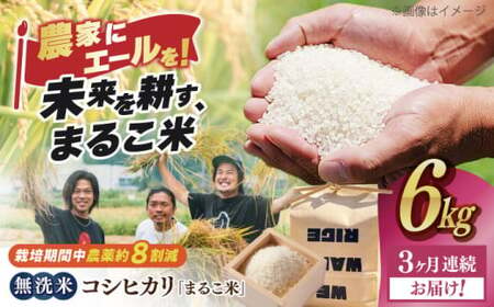 【全3回】近江米 コシヒカリまるこ米6kg（2kg×3）　無洗米 [AQCZ021] コシヒカリ 