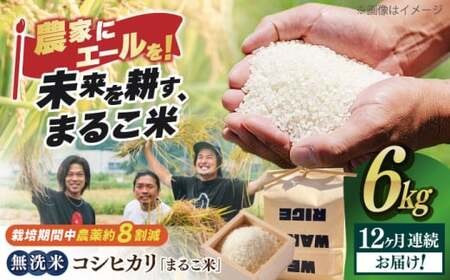 【全12回】近江米 コシヒカリまるこ米6kg（2kg×3）　無洗米 [AQCZ023] コシヒカリ
