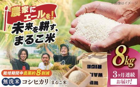 【全3回】近江米 コシヒカリまるこ米8kg（2kg×4）　無洗米 [AQCZ025] コシヒカリ