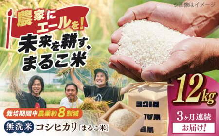 【全3回】近江米 コシヒカリまるこ米12kg（3kg×4）　無洗米 [AQCZ029] コシヒカリ