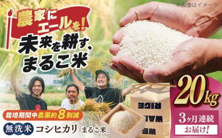 【全3回】近江米 コシヒカリまるこ米20kg（5kg×4）　無洗米 [AQCZ033] コシヒカリ
