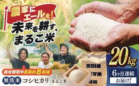 【全6回】近江米 コシヒカリまるこ米20kg（5kg×4）　無洗米 [AQCZ034] コシヒカリ