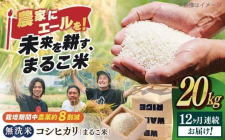 【全12回】近江米 コシヒカリまるこ米20kg（5kg×4）　無洗米 [AQCZ035] コシヒカリ