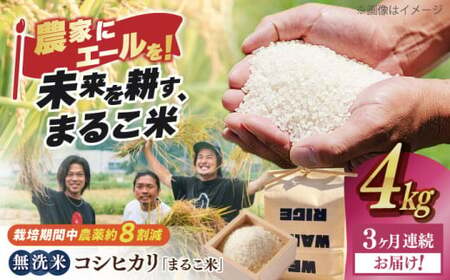 【全3回】近江米 コシヒカリまるこ米4kg（2kg×2）　無洗米 [AQCZ037] コシヒカリ