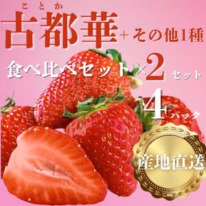 【2027年（令和9年）1月～発送】奈良ブランドいちご２種（古都華と他１種）食べ比べセット×２セット （古都華２パック＋別品種２パックの計４パック） (他１種は、かおりの・珠姫・奈乃華・ならあかり・あすかルビーのいずれか) イチゴ いちご 苺 めいとく農園