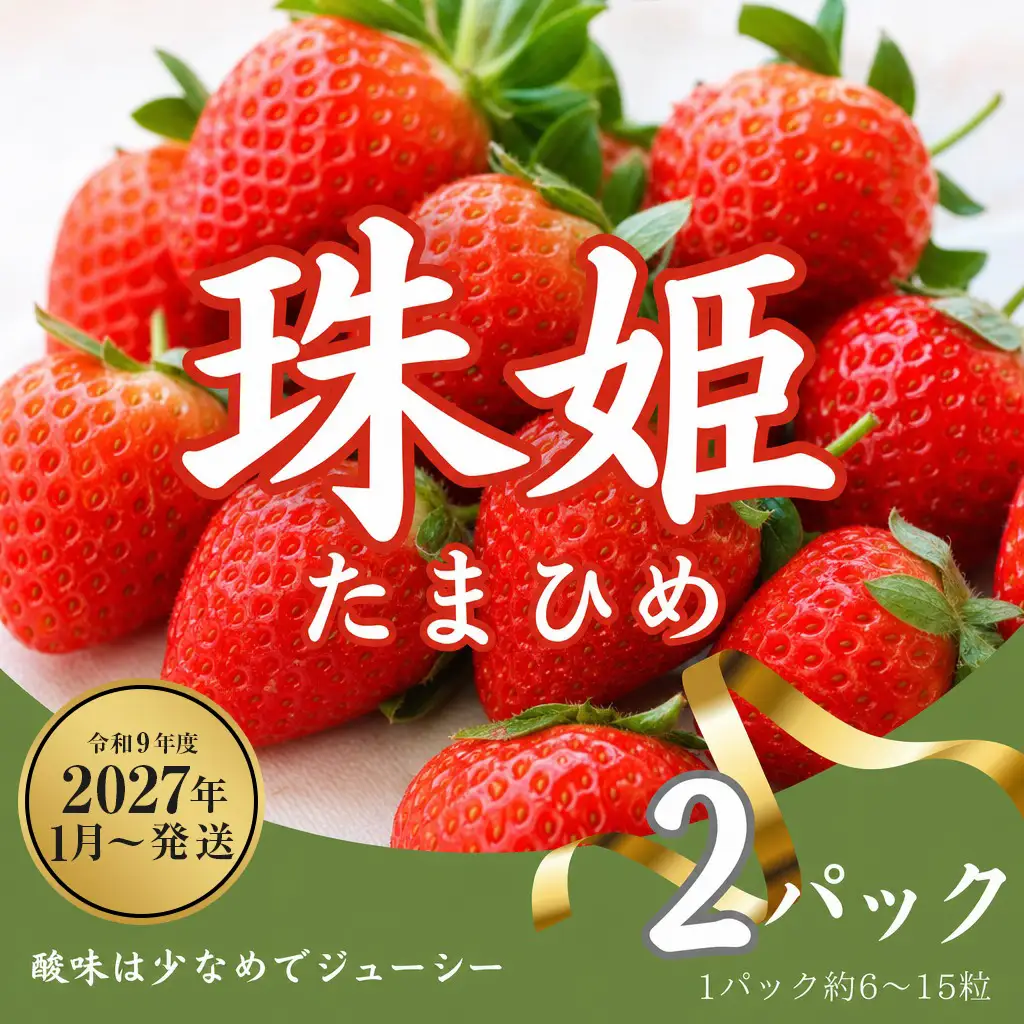【2027年（令和9年）1月～発送】いちご 苺 珠姫（たまひめ）×２パック めいとく農園