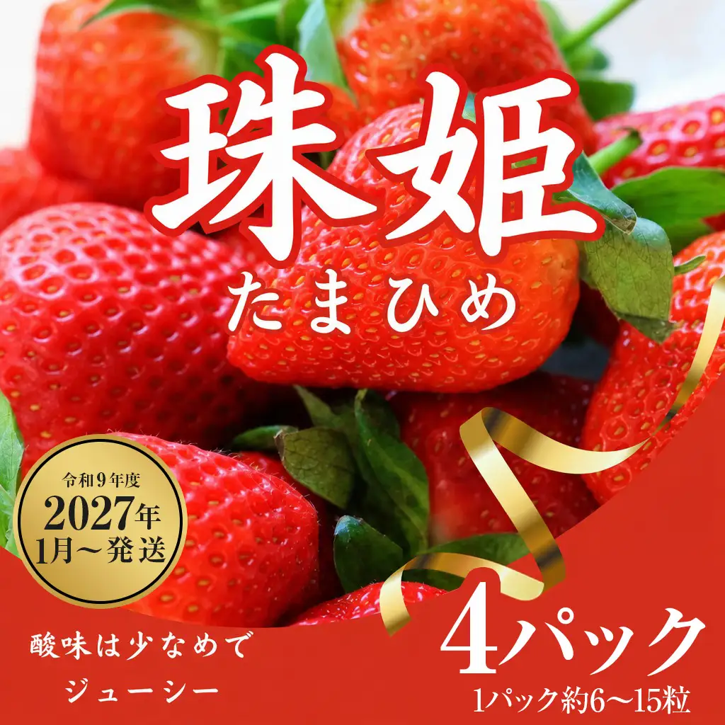  【2027年（令和9年）1月～発送】いちご 苺 珠姫（たまひめ）×4パック 甘い 大粒 イチゴ めいとく農園