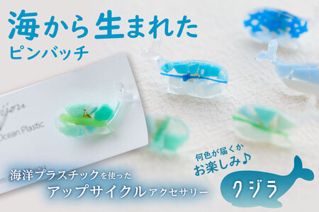 海から生まれたピンバッチ（クジラ）mi0012-0206 ﾋﾟﾝｽﾞ 海洋ﾌﾟﾗｽﾁｯｸ 一点もの 亀 ｱｯﾌﾟｻｲｸﾙ SDGs