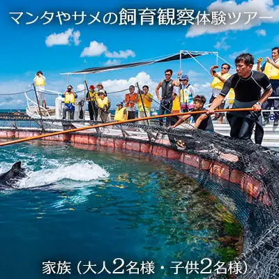 マンタやサメの飼育観察体験ツアー　家族（ 大人2名　子供2名）