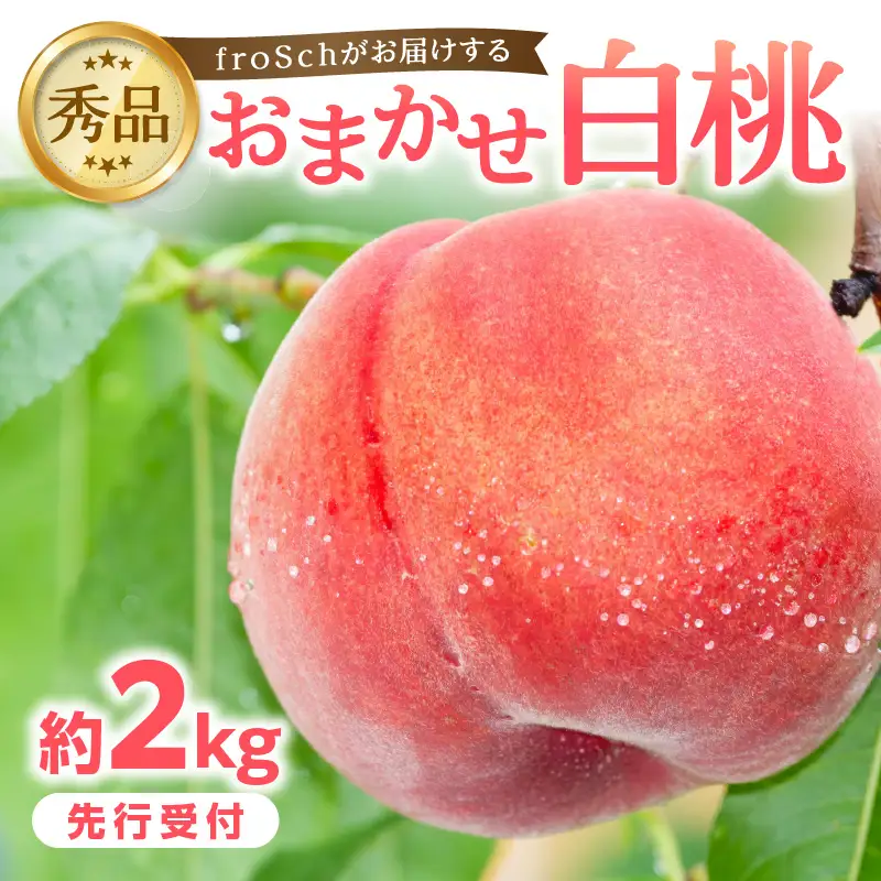 ≪先行受付≫ froSchがお届けするおまかせ白桃 約2kg 【2026年7月下旬より順次発送予定】 060-001