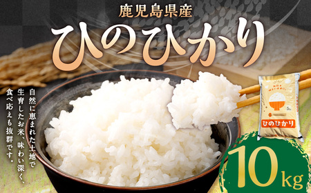 【新米先行予約】【KODAMAFARMS】鹿児島県産 ひのひかり 10kg（5kg×2袋） KODA米 米 新米 精米 白米 お米 【2026年1月下旬以降順次発送】BS-642_CR