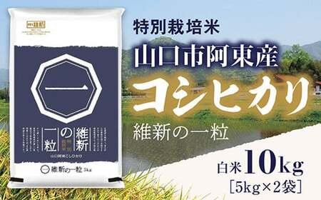 C117 維新の一粒5kg×2袋（白米）