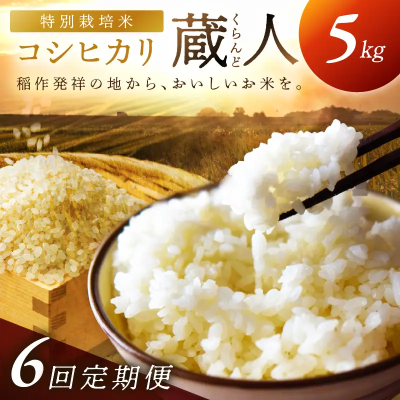 【定期便6回】令和8年産 特別栽培米コシヒカリ 蔵人（くらんど） 精米5kg