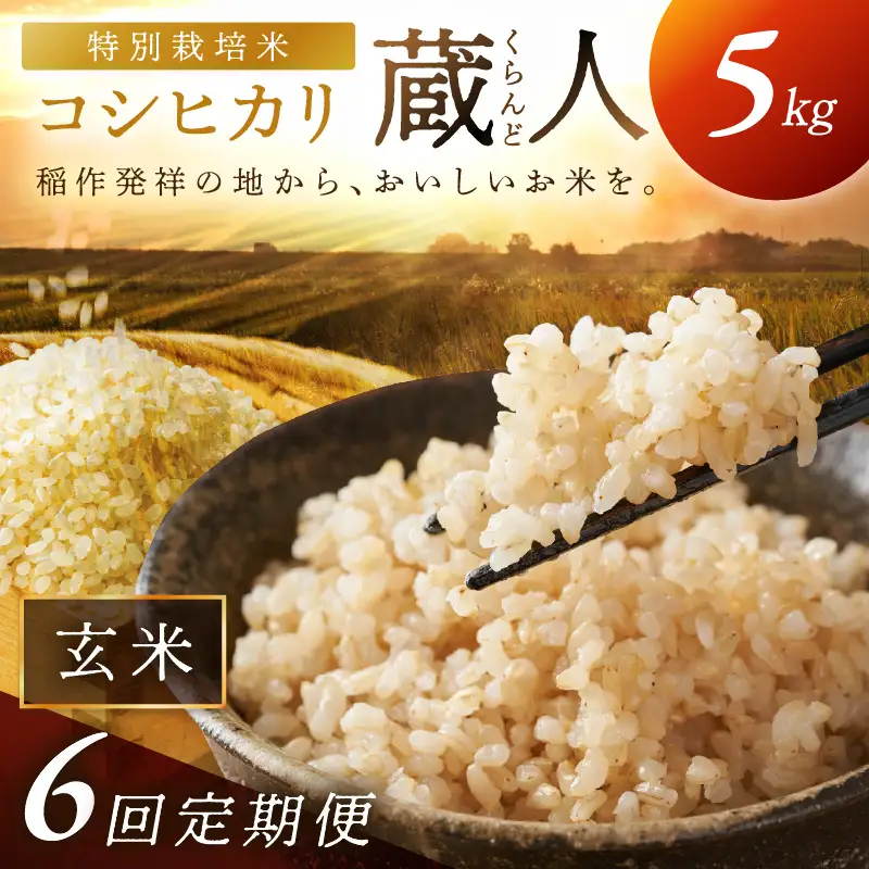 【定期便6回】令和8年産 特別栽培米コシヒカリ 蔵人（くらんど） 玄米5kg