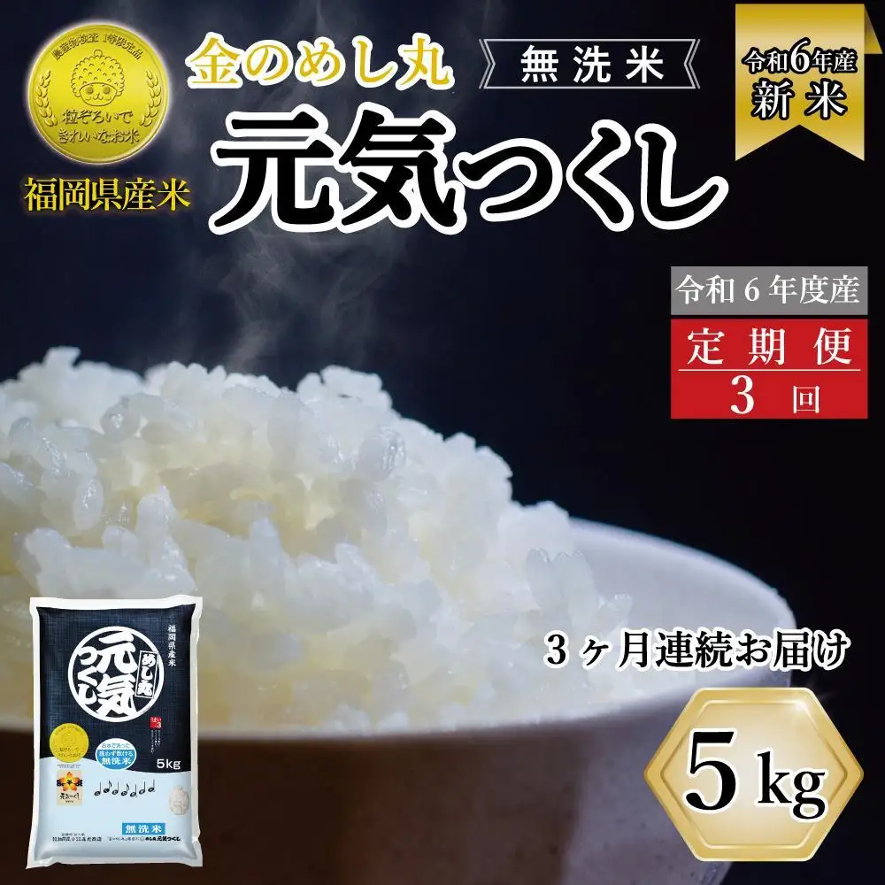 ＜全3回定期便＞令和7年米 福岡県産 米 【無洗米】金のめし丸元気つくし 5kg