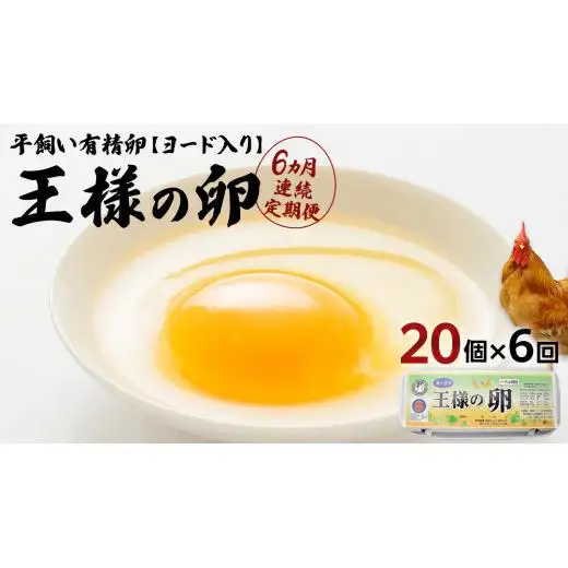 【6ヵ月 連続 定期便】王様の卵 ヨード入 20個 (15個+割れ保障5個 ) 計120個