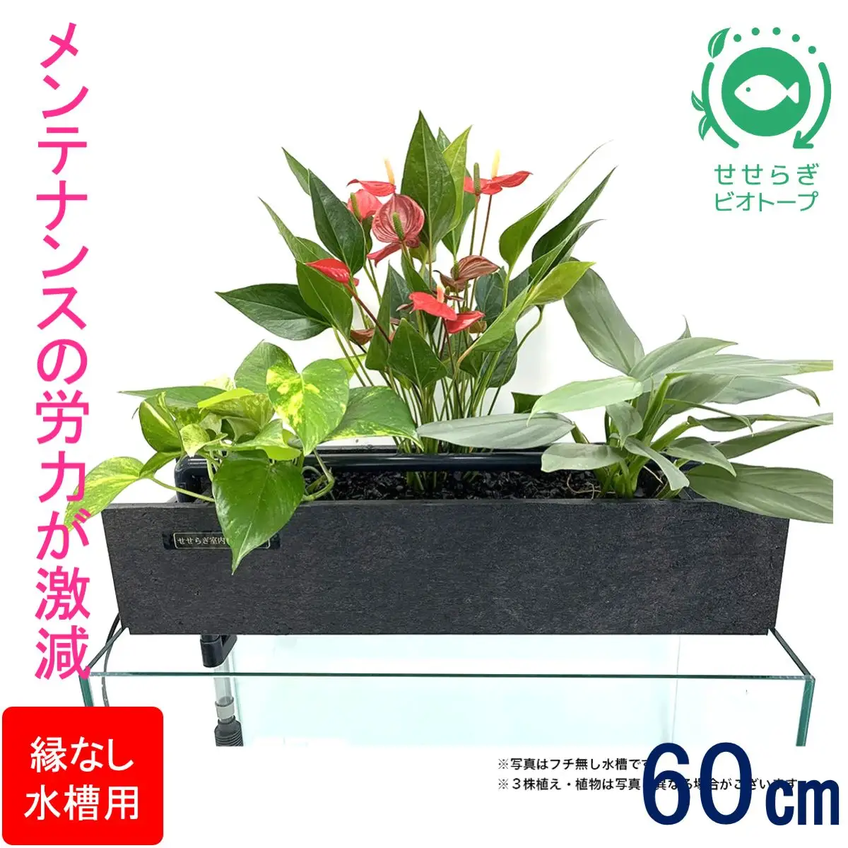 せせらぎビオトープ　60cm型ろ過装置・縁なし水槽用（※水槽はついていません）