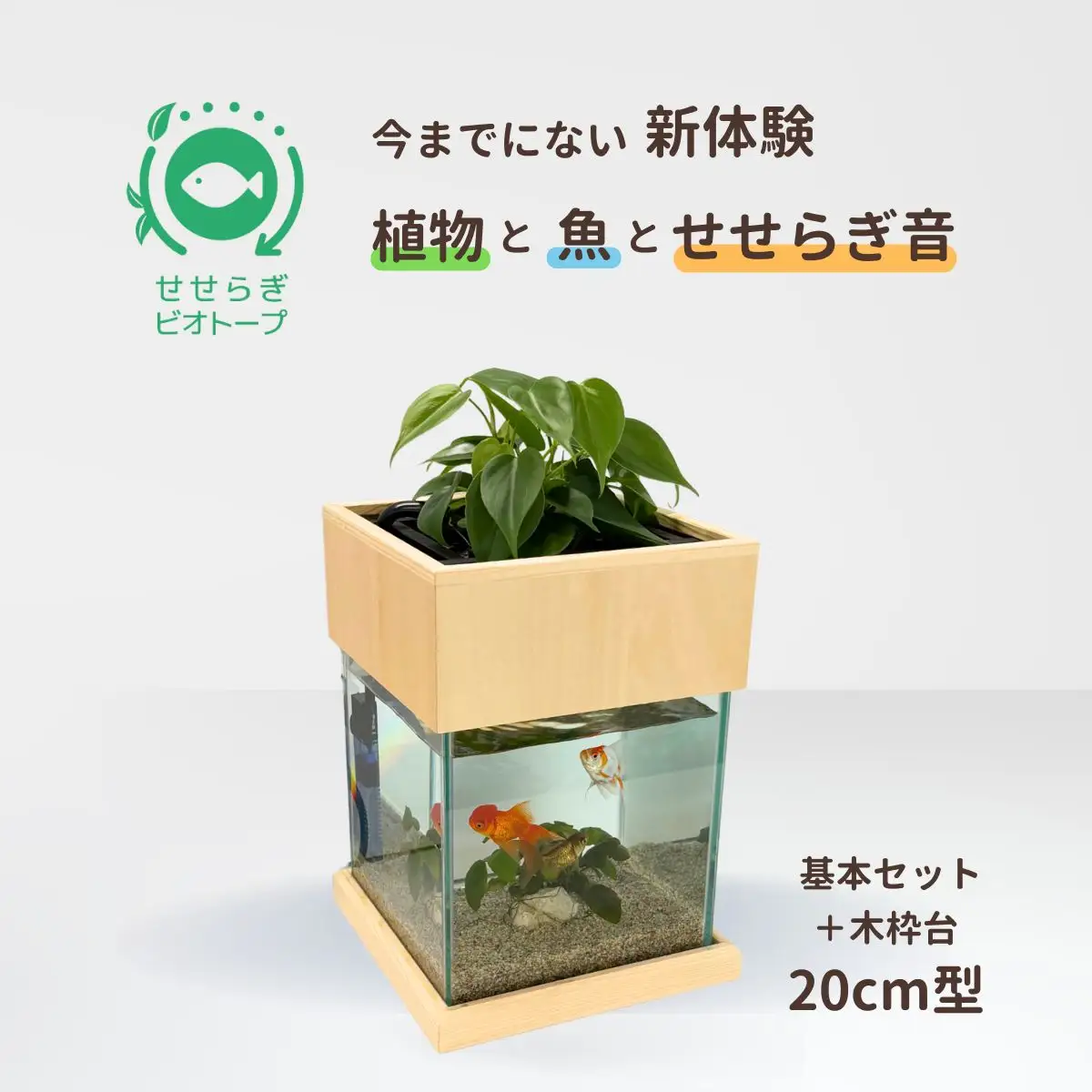 せせらぎビオトープ　20cm型基本+木枠台セット