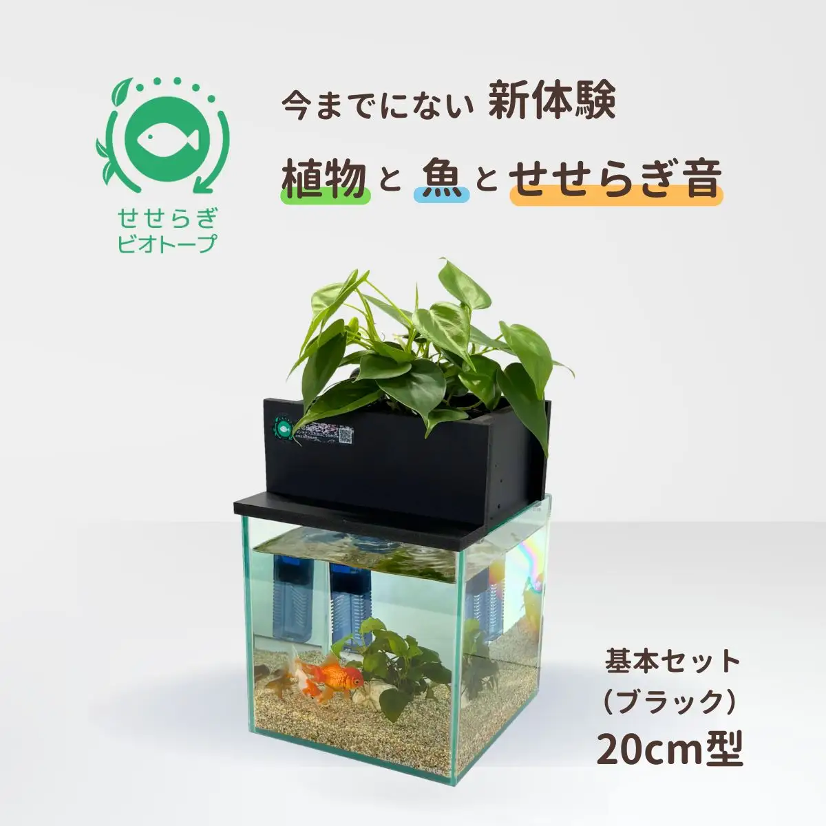 せせらぎビオトープ　20cm型基本セット