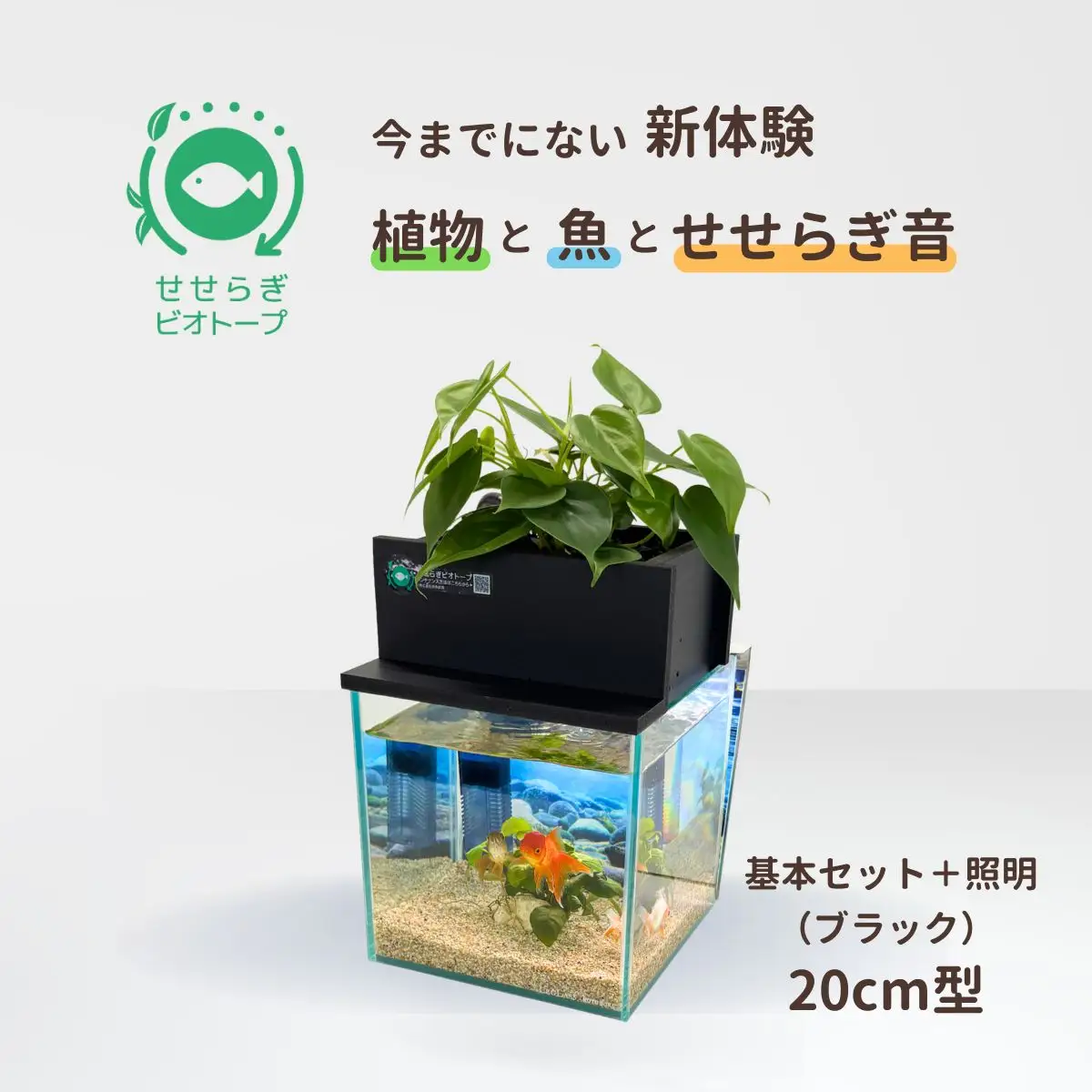せせらぎビオトープ　20cm型基本＋照明セット