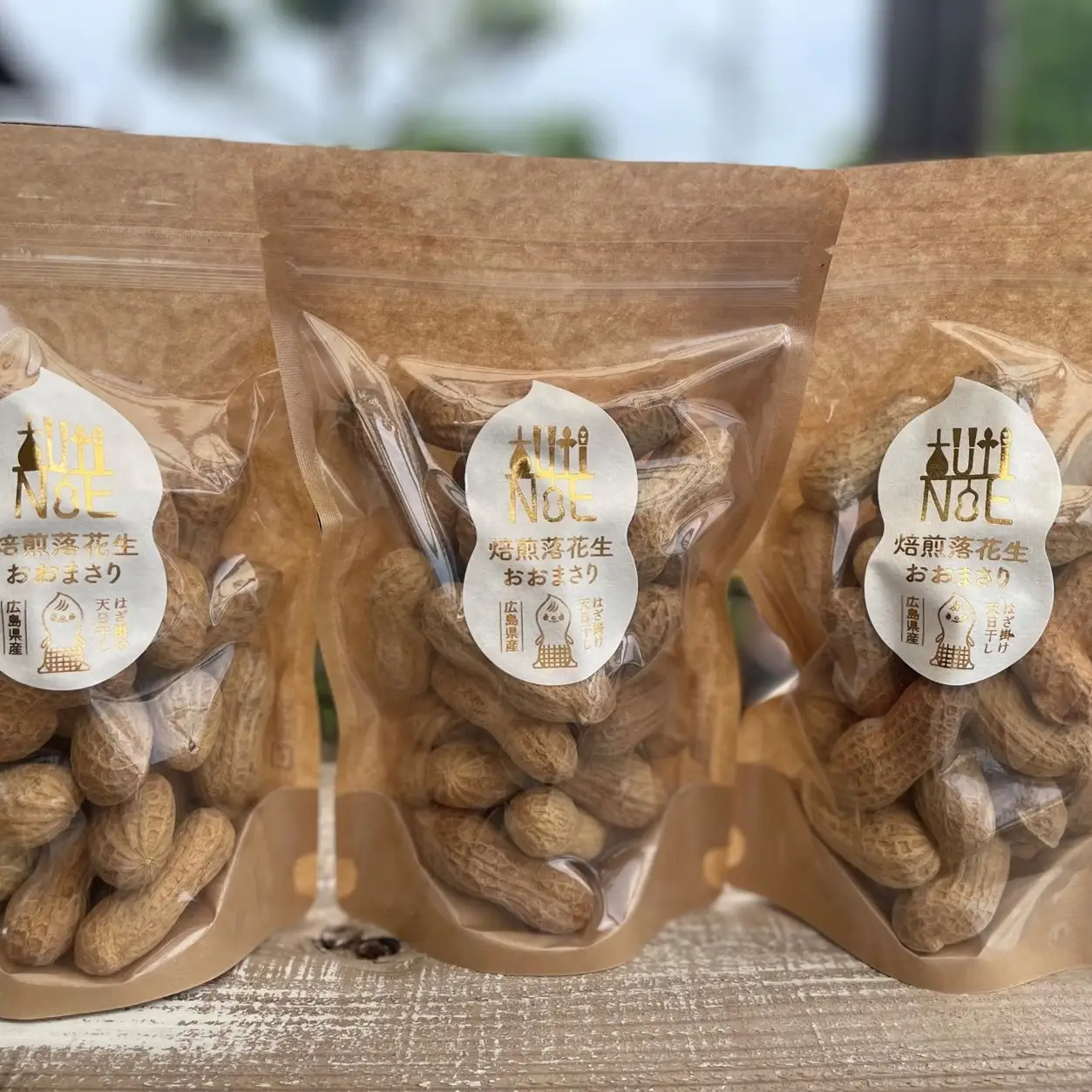 アグリ・アライアンス　焙煎落花生　おおまさり　100g×3個 　TUTITONE 　大粒　農薬不使用【配送時期：2027年1月以降】