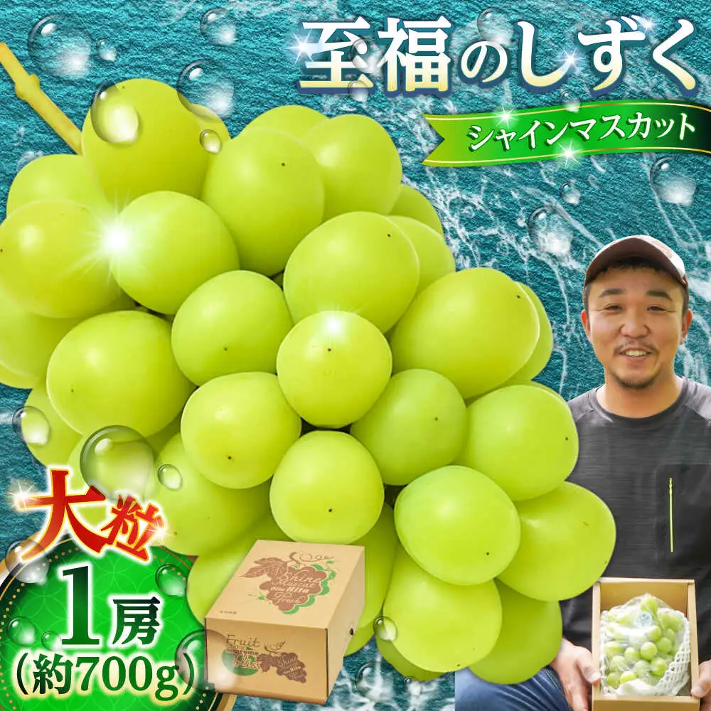 シャインマスカット 約700g 至福のしずく [AREJ001]シャインマスカット