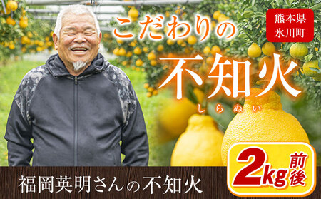 福岡農園 不知火 2kg《1月上旬-1月末頃出荷》熊本県 氷川町 柑橘 果物 フルーツ