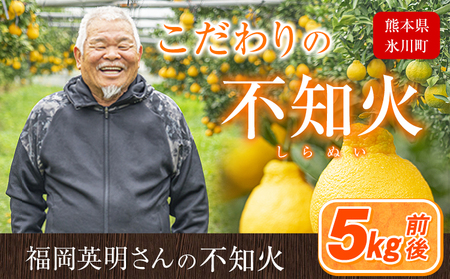 福岡農園 不知火 5kg 《1月上旬-1月末頃出荷》熊本県 氷川町 柑橘 果物 フルーツ 