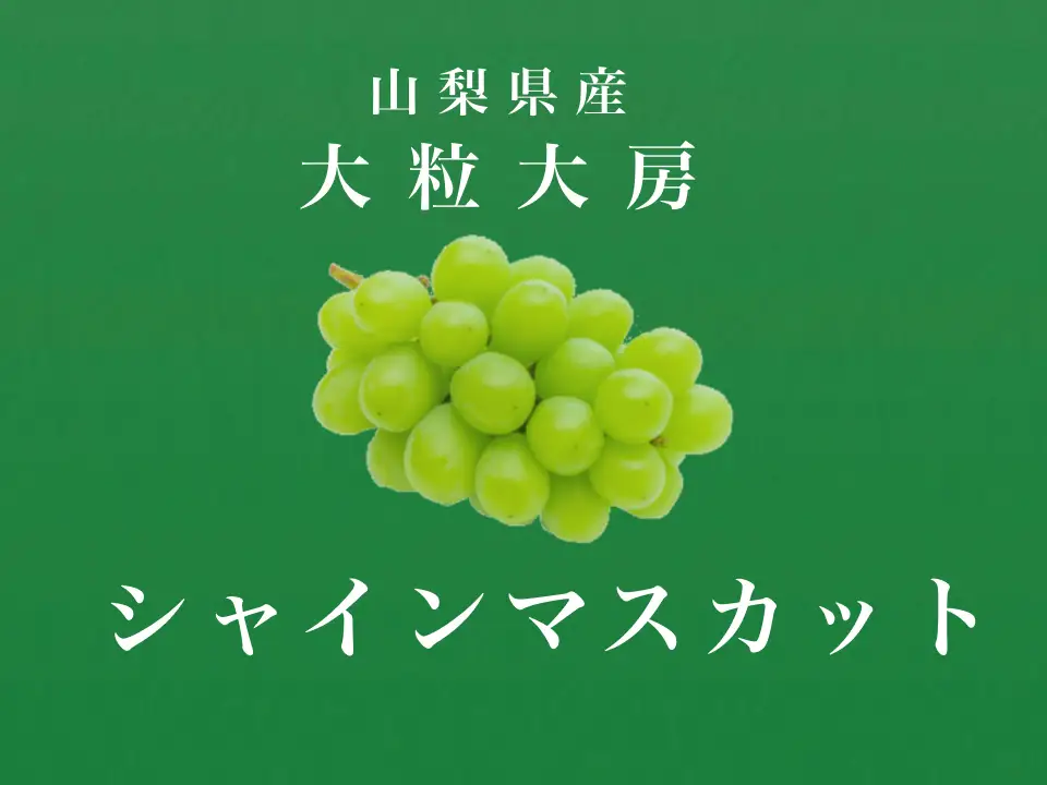 ＜2026年発送先行予約＞大粒大房！山梨県産シャインマスカット 1房 ALPDS006
