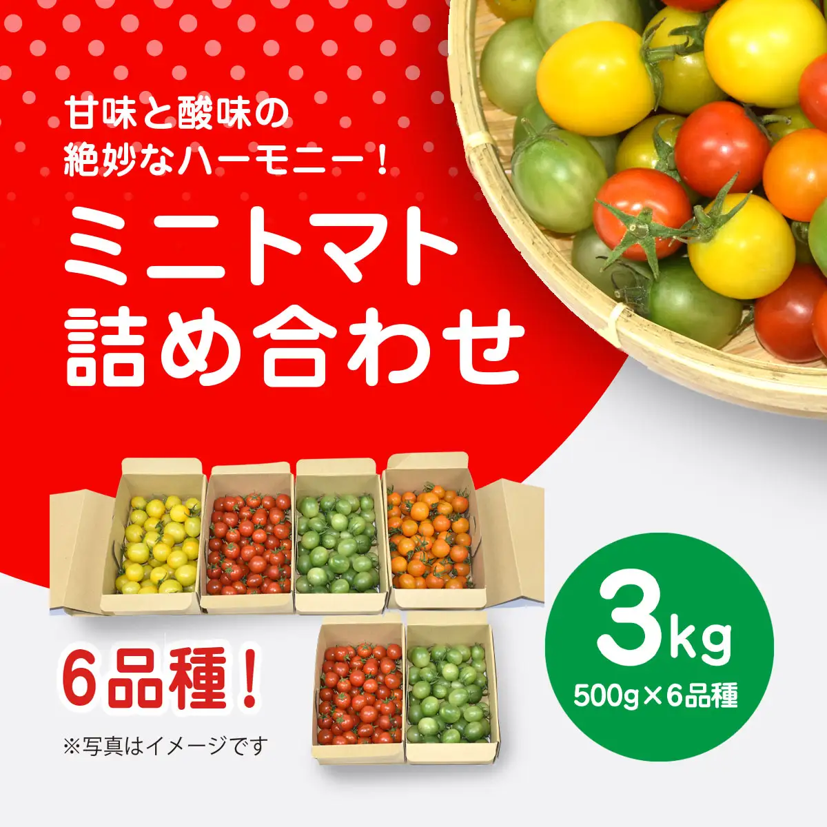 【先行予約】【11月から発送】甘味と酸味の絶妙なハーモニー! ミニトマト 詰め合わせ 3kg（500g×6品種） SMCA001