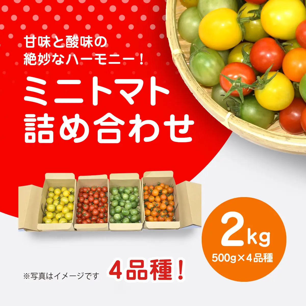 【先行予約】【11月から発送】甘味と酸味の絶妙なハーモニー! ミニトマト 詰め合わせ 2kg（500g×4品種） SMCA002