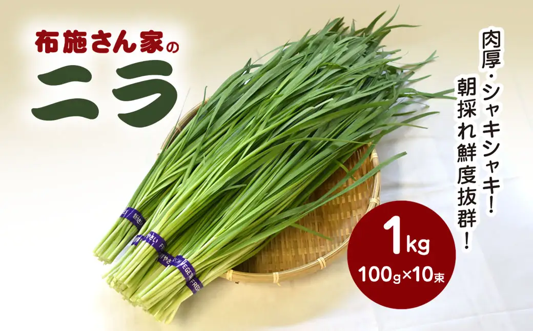 肉厚・シャキシャキ! 朝採れ鮮度抜群! 布施さん家のニラ 1kg(100g×10束)  ふるさと納税 にら ニラ 朝採れ 新鮮 肉厚 シャキシャキ 農家直送 真空包装 鮮度抜群 千葉県 山武市 SMBY001