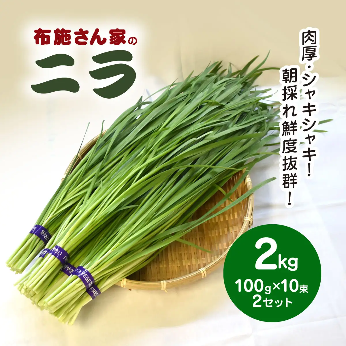 肉厚・シャキシャキ! 朝採れ鮮度抜群! 布施さん家のニラ 2kg(100g×10束×2セット)  ふるさと納税 にら ニラ 朝採れ 新鮮 肉厚 シャキシャキ 農家直送 真空包装 鮮度抜群 千葉県 山武市 SMBY002