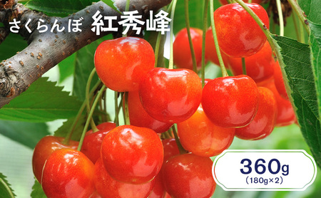 さくらんぼ 360g 紅秀峰 サクランボ