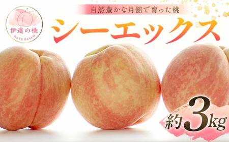 【2026年出荷分先行予約】福島県産 シーエックス 約3kg (8～12玉) 森果樹園 自然豊かな月舘で育った桃 伊達の桃 桃 フルーツ 果物 もも モモ momo F21C-231