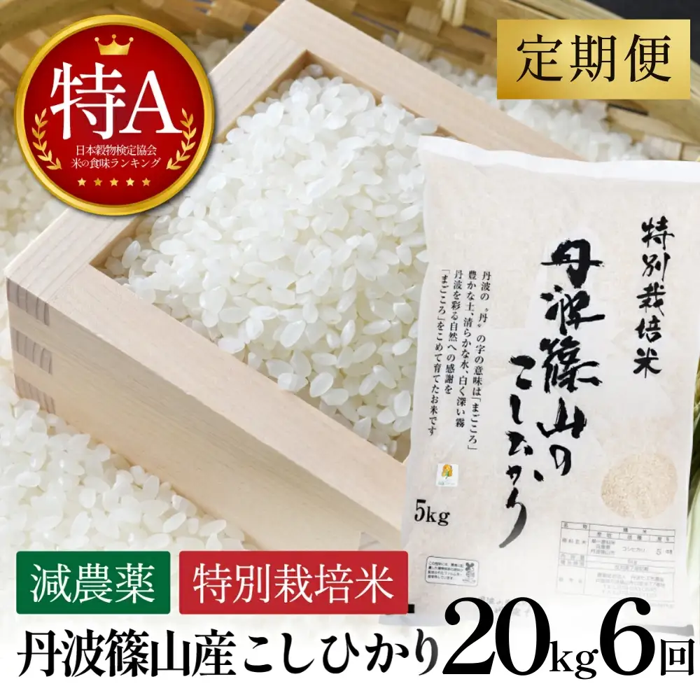 【6回定期便】特A 特別栽培米 コシヒカリ 精米 20kg 定期便