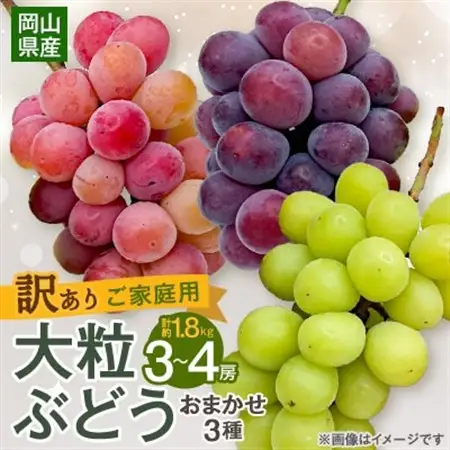 【2026年9月下旬発送】訳あり大粒ぶどう3種セット(シャインマスカット・ピオーネ等3種おまかせ)【配送不可地域：離島・北海道・沖縄県】【1244678】