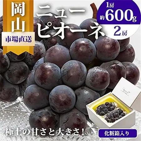 【先行受付】岡山県産　ニューピオーネ2房　(1房600g以上)　化粧箱入り【配送不可地域：離島・北海道・沖縄県】【1281359】