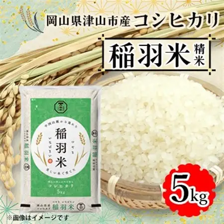 【岡山県津山市産】稲羽米5kg(コシヒカリ)【1297320】