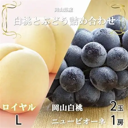 【先行受付】岡山県産　岡山白桃ロイヤルLサイズ200g×2玉・ニューピオーネ400g×1房　詰合せ【配送不可地域：離島・北海道・沖縄県】【1309122】