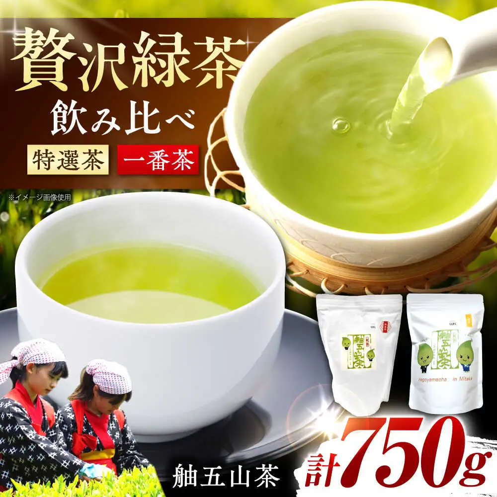舳五山茶　特撰茶・一番茶セット 計750g / 茶 ちゃ お茶 おちゃ 緑茶 りょくちゃ 日本茶 茶葉 / 御嵩町 / 舳五山茶園委員会[AVAD002]