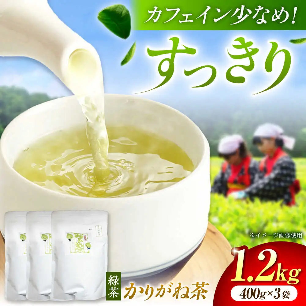 舳五山茶　かりがね1200g / 緑茶 茶葉 茶ば お茶 茶摘み / 御嵩町 / 舳五山茶園委員会[AVAD005]