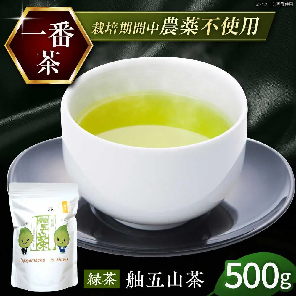 舳五山茶　「一番茶」500g / 緑茶 茶葉 茶ば お茶 茶摘み / 御嵩町 / 舳五山茶園委員会[AVAD007]