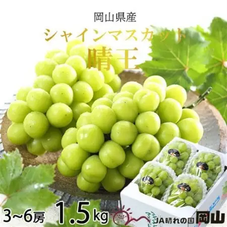 【2026年8月より発送】岡山県産　シャインマスカット　晴王　1.5kg(3房～6房)【配送不可地域：離島・北海道・沖縄県】【1366038】