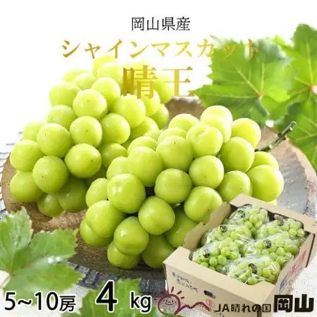 【2026年8月より発送】岡山県産　シャインマスカット　晴王　4kg(5房～10房)【配送不可地域：離島・北海道・沖縄県】【1366041】